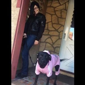 Meet your Posher, Samantha